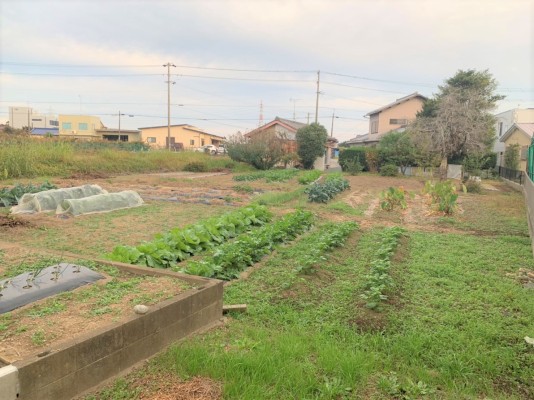 ◆大規模既存集落制度対象◆浜北区平口　売地　630万円