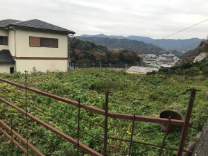 栖原 売地 430万円