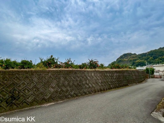 庄 売地 600万円