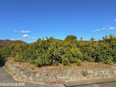 12/12 新着★有田川町徳田 分譲地!