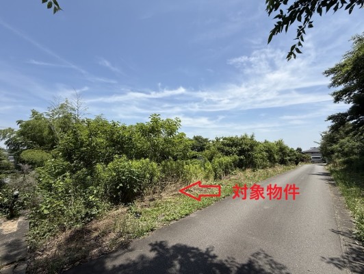 植大 売地 150万円